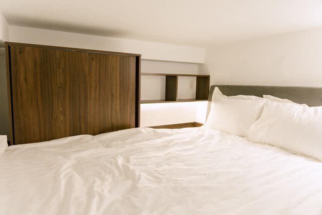 🌿 CZ202 - Ấm Áp 🌿 - Ảnh 5